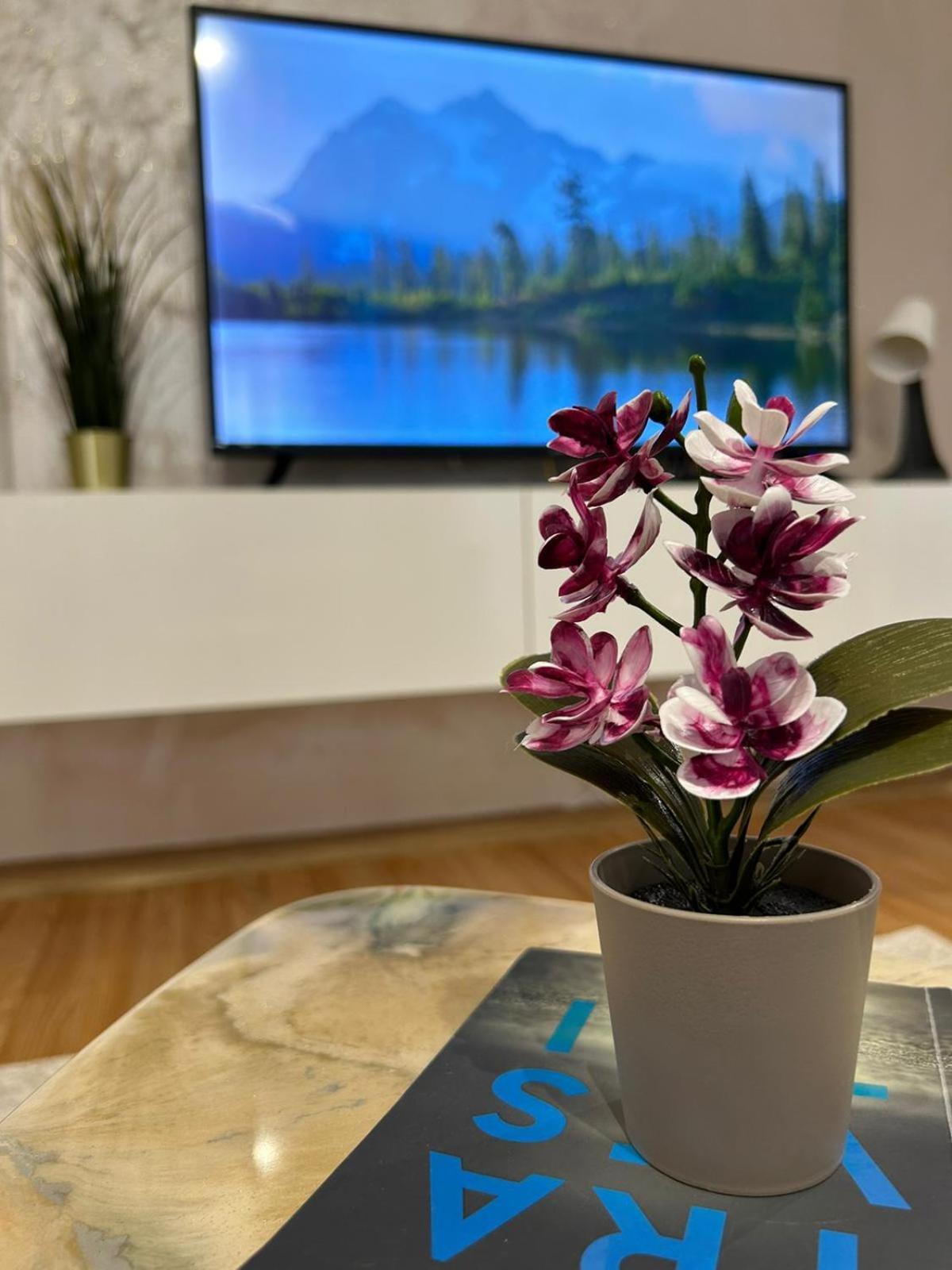 Luxury Studio Ploiesti Ngoại thất bức ảnh